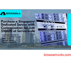 Purchase a Singapore Dedicated Server with Customization for Just $16600 at Serverwala