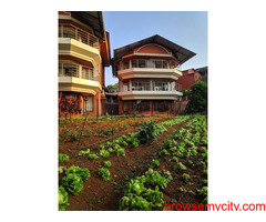 Luxury and Serenity: Mahabaleshwar's Best Resorts for a Winter Getaway