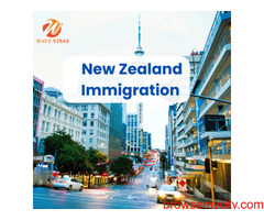 Wave Visas | Professional Visa and New Zealand immigration Support