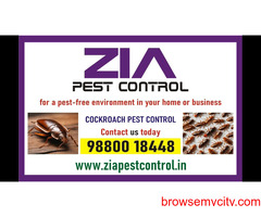 Bangalore Pest Control | Upto 30% Off Paying Guest and Restaurant | 4022