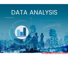 Hire the Best Data Analytics Consulting for Every Industry!