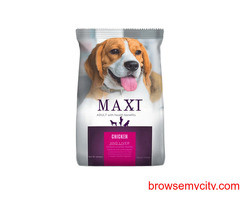 Flat 10% Off on Premium Dog Food – Shop Now!