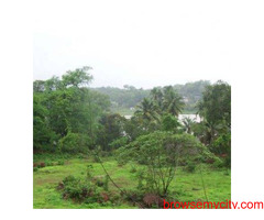 "Explore Prime Land For Sale In Goa: Investment Opportunities Await"