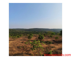 "Explore Prime Land For Sale In Goa: Investment Opportunities Await"