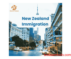 Wave Visas - New Zealand Immigration Services & Visa Experts