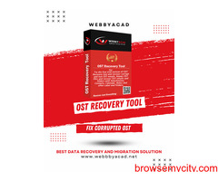 Recovery Tool for Corrupted OST Files