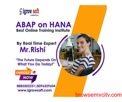 SAP HANA Online Training Institute in Ameerpet Hyderabad | Igrowsoft