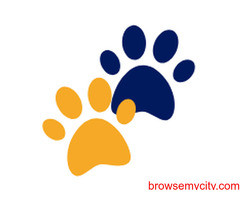 Keep Your Pup’s Paws Neat with the Best Dog Paw Hair Trimmer!