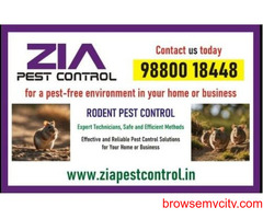Get rid of Rodent | Bed Bug pest Control | Residence and office  |  5081