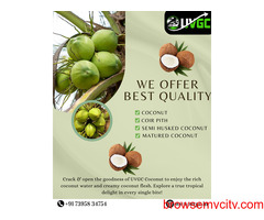 UVGC: Top Tender Coconut Exporters in Coimbatore, TamilNadu