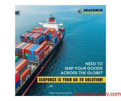nvocc shipping line