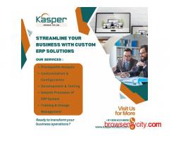 Streamline Your Business with Custom ERP Solutions