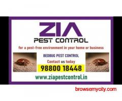 Bed Bug Control | effective bedbug treatments Complete Bangalore | 5038