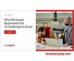 Can’t Scale Your Wholesale Business? Pepagora Shares What’s Going Wrong