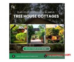 Experience Nature’s Calm with a Stay in Scenic Tree House Cottages
