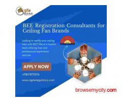 BEE Registration Consultants for Ceiling Fan Brands