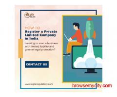 Private Limited Company Registration by Experts