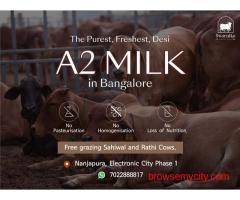 Order Fresh A2 cow milk in electronic city Bangalore
