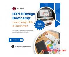 Get Certified in UI/UX Design Online with UX UI Open – Start Today!