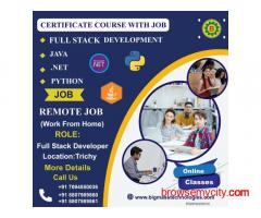 IT Certificate Course +  Remote Job !