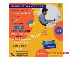 IT Certificate Course +  Remote Job !