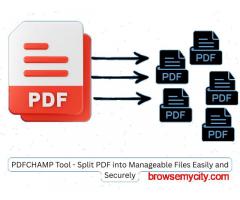 PDFCHAMP Tool - Split PDF into Manageable Files Easily and Securely