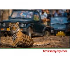 Unique Conference Venues in Jim Corbett to Inspire Innovation