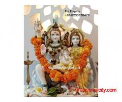 Buy Lord Shiva family Marble Statue in Jaipur