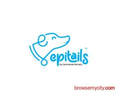 Dog Grooming Centre in Hyderabad – Epitails