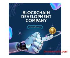 Get Your Crypto Project Live – Experienced Blockchain Team Ready