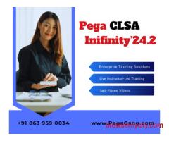 Online CLSA Training Infinity'24.2 by PegaGang – For Experienced Pega Developers