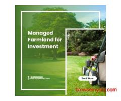 Smart Farming, Smarter Investment: Explore Managed Farmland