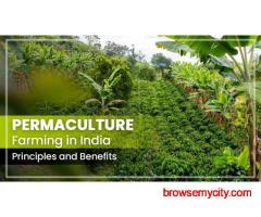 Permaculture and Its Principles for Starting Farming