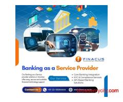 Banking as a Service Provider | Payment Service Provider