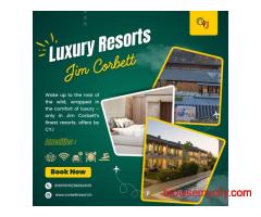 Discover Jim Corbett's Luxurious Resorts for Your Ideal Getaway