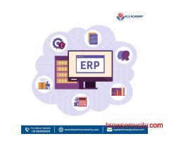Best SAP FICO Online Training