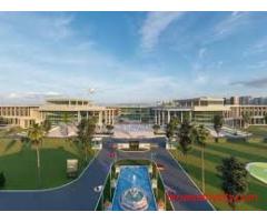 Sai University Results 2025 | Admissions & Courses