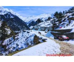 Manali Delights with Apple Country