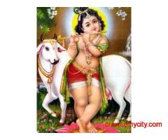 kolkata Girls Payin Guest accommdation gitanjali metro station 8585857111