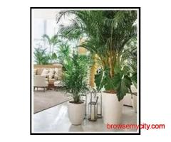Buy Artificial Tree from No1. Manufacturers in India