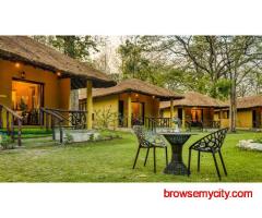 Adventure & Relaxation Await at Bijrani Jungle Cottages