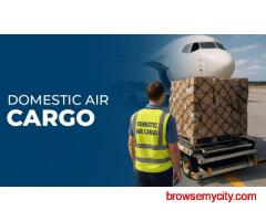 Domestic Air Courier Services for All Needs
