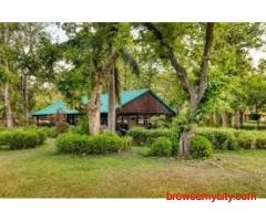 Peaceful Stay at Scenic Bijrani Jungle Cottages