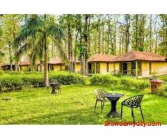 Stay Close to Nature at Bijrani Jungle Cottages