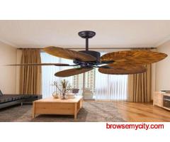 Premium Designer Fans for Living Room