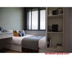 Transform Your Bedroom with These Color Ideas