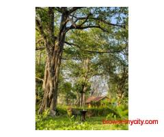 Camping in Corbett | Bijrani Jungle Cottages