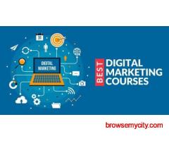 Best Digital Marketing Training in Noida with Placement