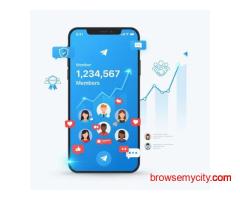 Buy Real Telegram Channel Members for Organic Engagement