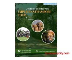 Elephant Sanctuary Jaipur A Popular Attraction for Wildlife Lovers